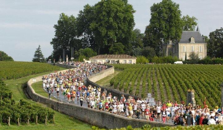 Marathon du Médoc 2015